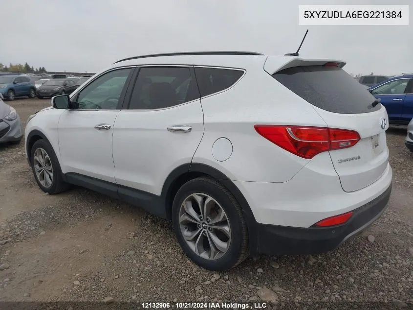 2014 Hyundai Santa Fe Sport VIN: 5XYZUDLA6EG221384 Lot: 12132906