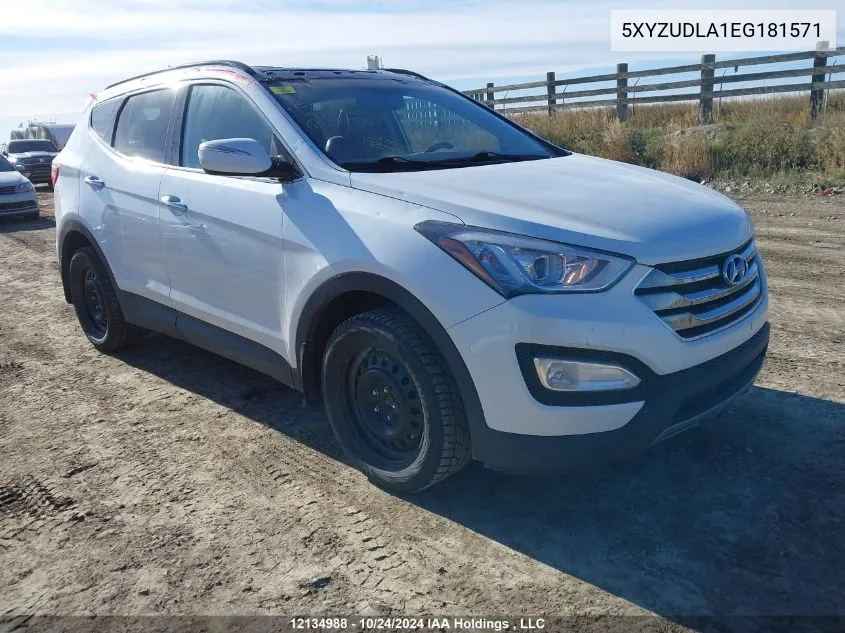 2014 Hyundai Santa Fe Sport VIN: 5XYZUDLA1EG181571 Lot: 12134988