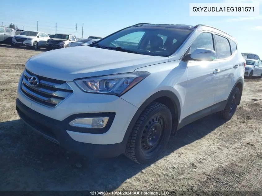 2014 Hyundai Santa Fe Sport VIN: 5XYZUDLA1EG181571 Lot: 12134988