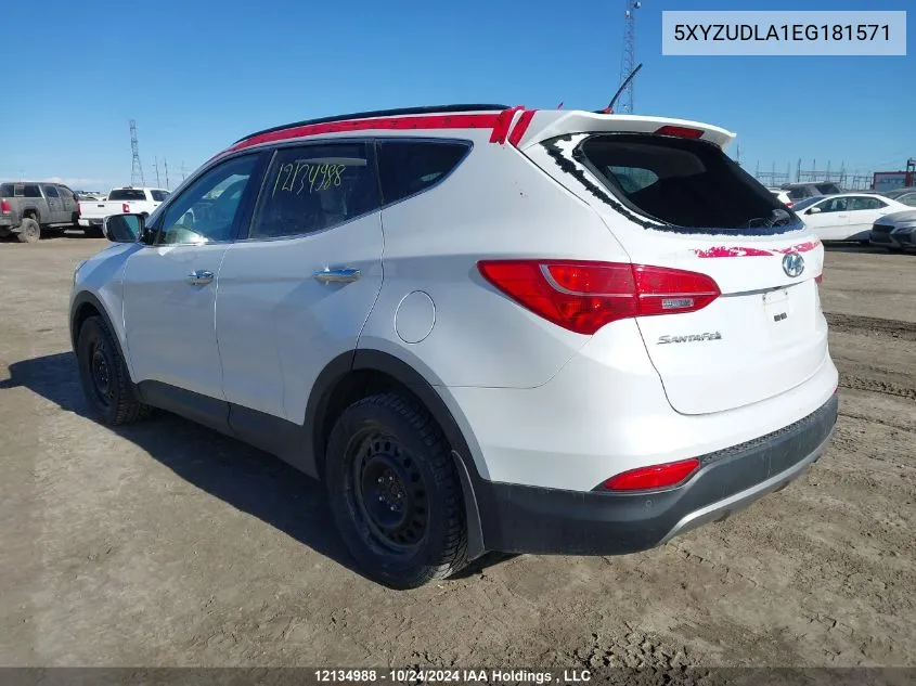 2014 Hyundai Santa Fe Sport VIN: 5XYZUDLA1EG181571 Lot: 12134988