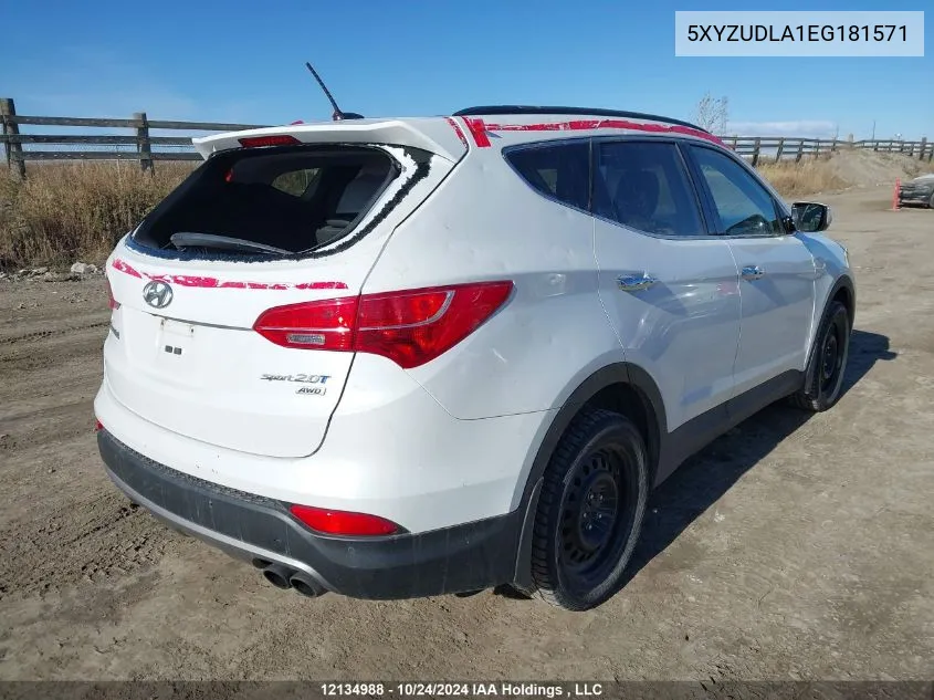 2014 Hyundai Santa Fe Sport VIN: 5XYZUDLA1EG181571 Lot: 12134988