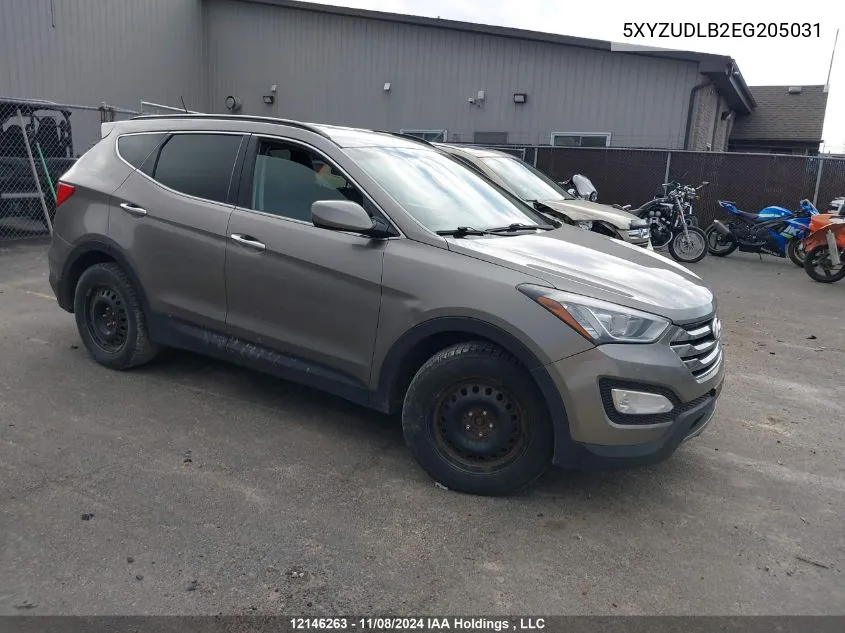 2014 Hyundai Santa Fe VIN: 5XYZUDLB2EG205031 Lot: 12146263