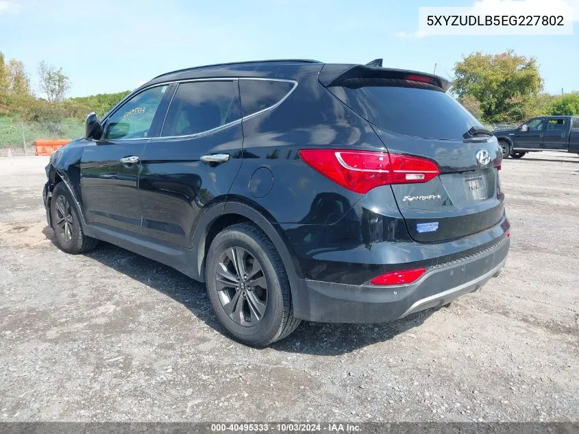 2014 Hyundai Santa Fe Sport 2.4L VIN: 5XYZUDLB5EG227802 Lot: 40495333