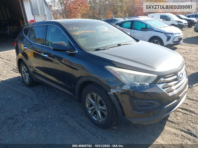 2014 Hyundai Santa Fe Sport 2.4L VIN: 5XYZTDLB3EG203081 Lot: 40600762