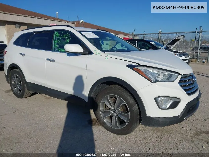 2014 Hyundai Santa Fe Gls VIN: KM8SM4HF9EU080309 Lot: 40800537