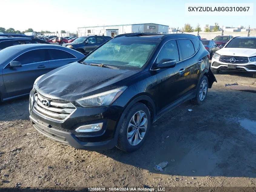 2016 Hyundai Santa Fe Sport VIN: 5XYZUDLA8GG310067 Lot: 12088510