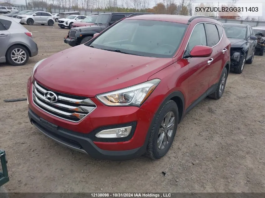 2016 Hyundai Santa Fe Sport 2.4 Premium VIN: 5XYZUDLB2GG311403 Lot: 12138098