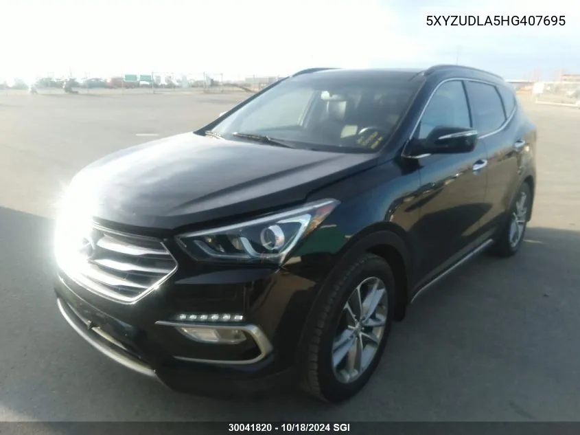 2017 Hyundai Santa Fe Sport VIN: 5XYZUDLA5HG407695 Lot: 30041820