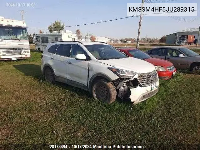 2018 Hyundai Santa Fe Xl VIN: KM8SM4HF5JU289315 Lot: 20173494