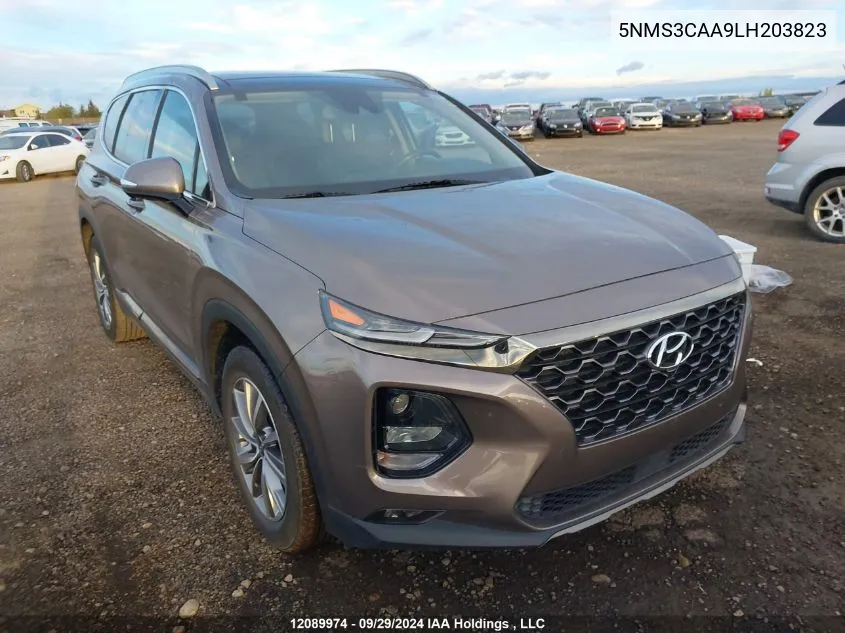 2020 Hyundai Santa Fe Sel/Sel Plus VIN: 5NMS3CAA9LH203823 Lot: 12089974