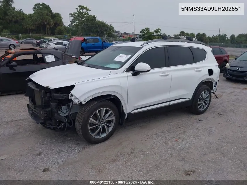 2020 Hyundai Santa Fe Sel VIN: 5NMS33AD9LH202651 Lot: 40122158