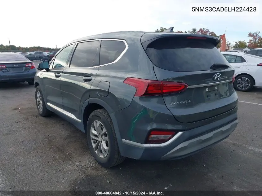 2020 Hyundai Santa Fe Sel VIN: 5NMS3CAD6LH224428 Lot: 40604842