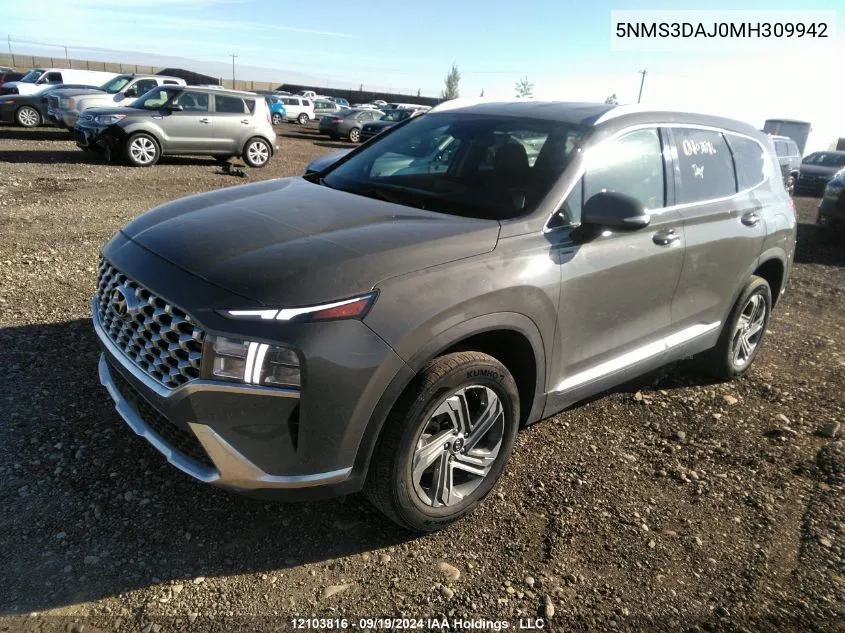 2021 Hyundai Santa Fe Sel VIN: 5NMS3DAJ0MH309942 Lot: 12103816