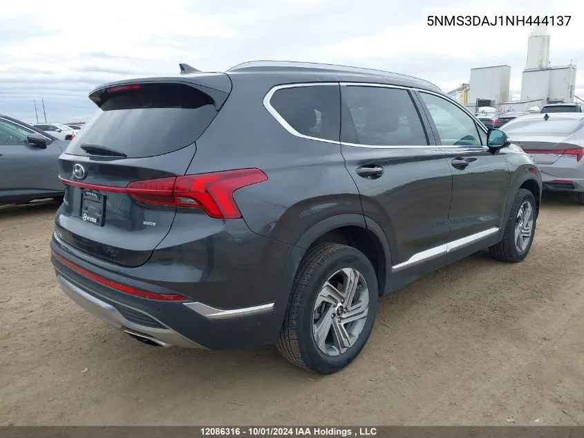 2022 Hyundai Santa Fe Sel VIN: 5NMS3DAJ1NH444137 Lot: 12086316