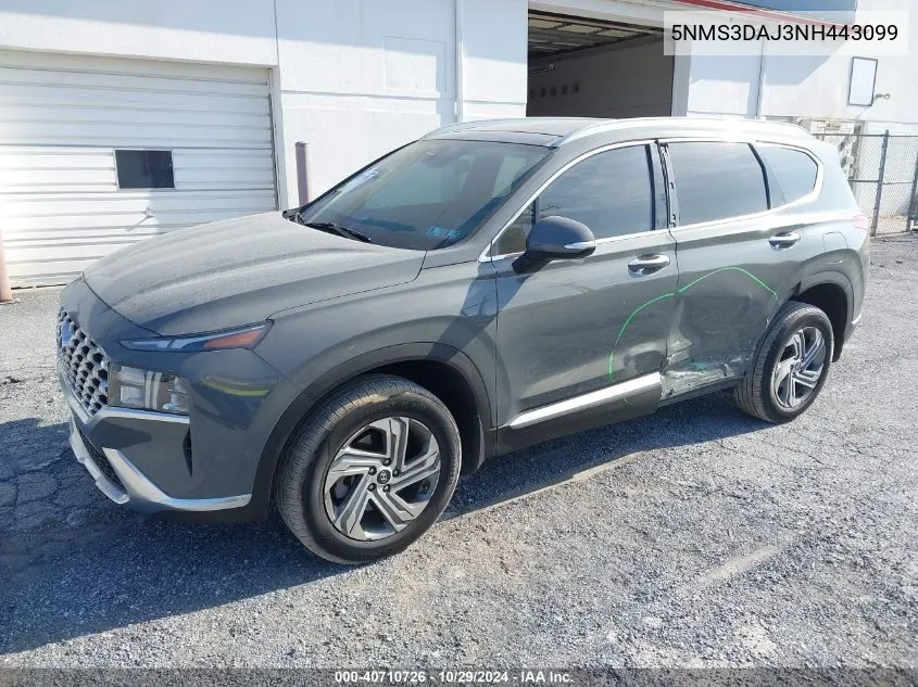 2022 Hyundai Santa Fe Sel VIN: 5NMS3DAJ3NH443099 Lot: 40710726