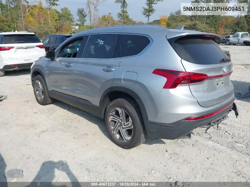 2023 Hyundai Santa Fe Sel VIN: 5NMS2DAJ3PH609451 Lot: 40672237