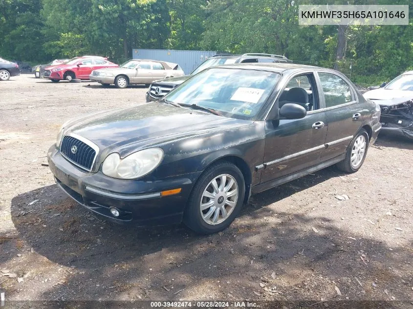 2005 Hyundai Sonata Gls/Lx VIN: KMHWF35H65A101646 Lot: 39492474