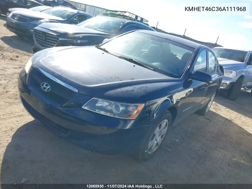 2006 Hyundai Sonata VIN: KMHET46C36A111968 Lot: 12065930