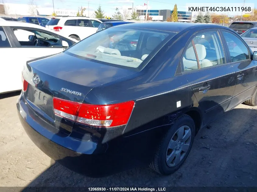 2006 Hyundai Sonata VIN: KMHET46C36A111968 Lot: 12065930