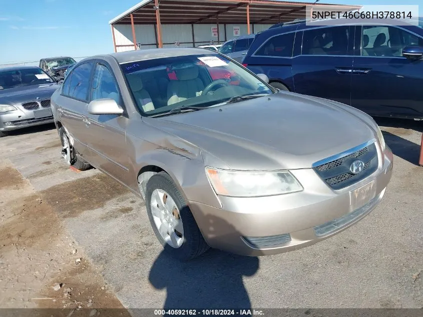 2008 Hyundai Sonata Gls VIN: 5NPET46C68H378814 Lot: 40592162