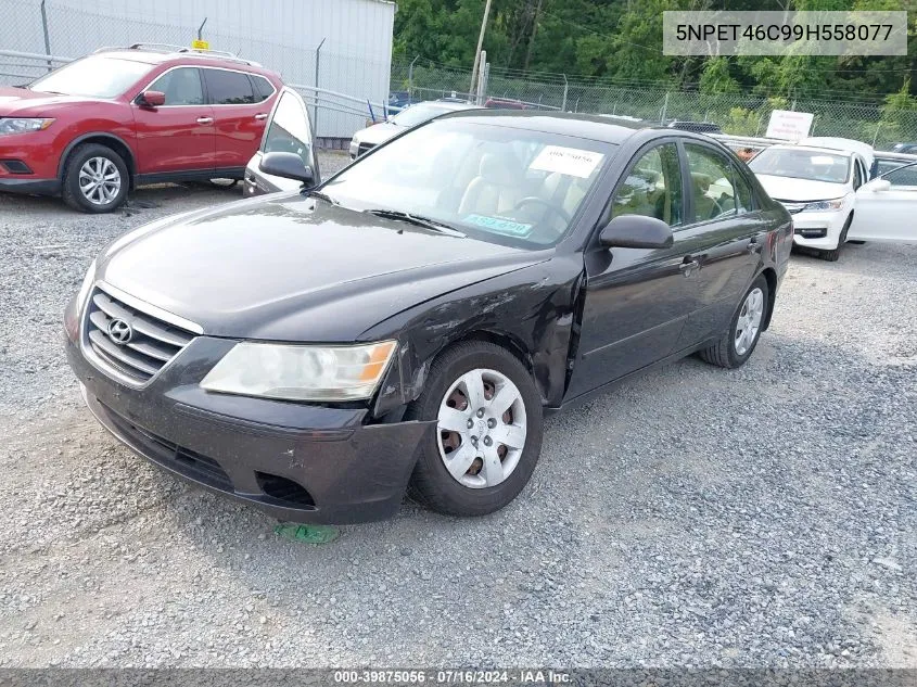 2009 Hyundai Sonata Gls VIN: 5NPET46C99H558077 Lot: 39875056