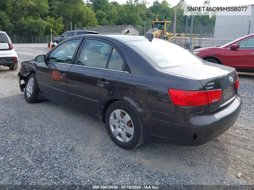 2009 Hyundai Sonata Gls VIN: 5NPET46C99H558077 Lot: 39875056