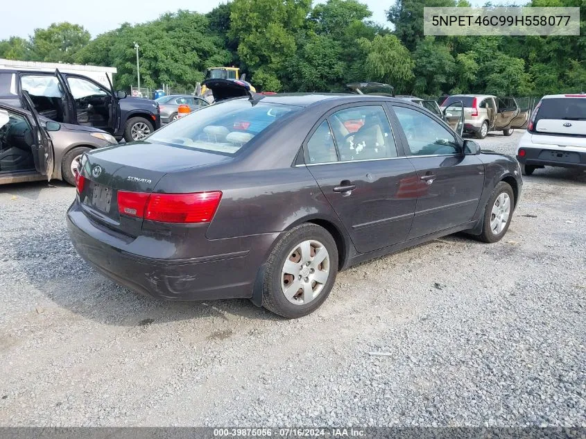 2009 Hyundai Sonata Gls VIN: 5NPET46C99H558077 Lot: 39875056