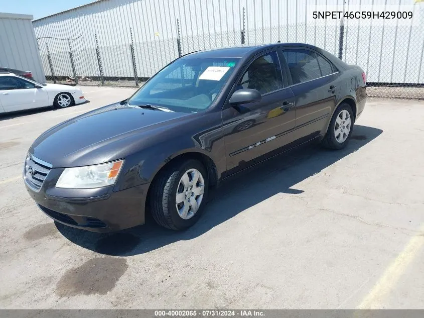 2009 Hyundai Sonata Gls VIN: 5NPET46C59H429009 Lot: 40002065