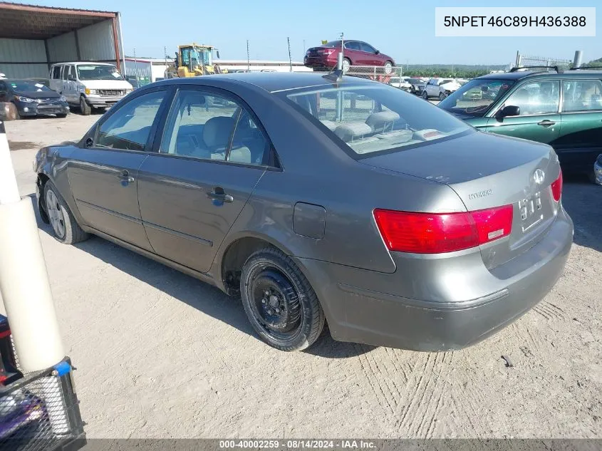 2009 Hyundai Sonata Gls VIN: 5NPET46C89H436388 Lot: 40002259