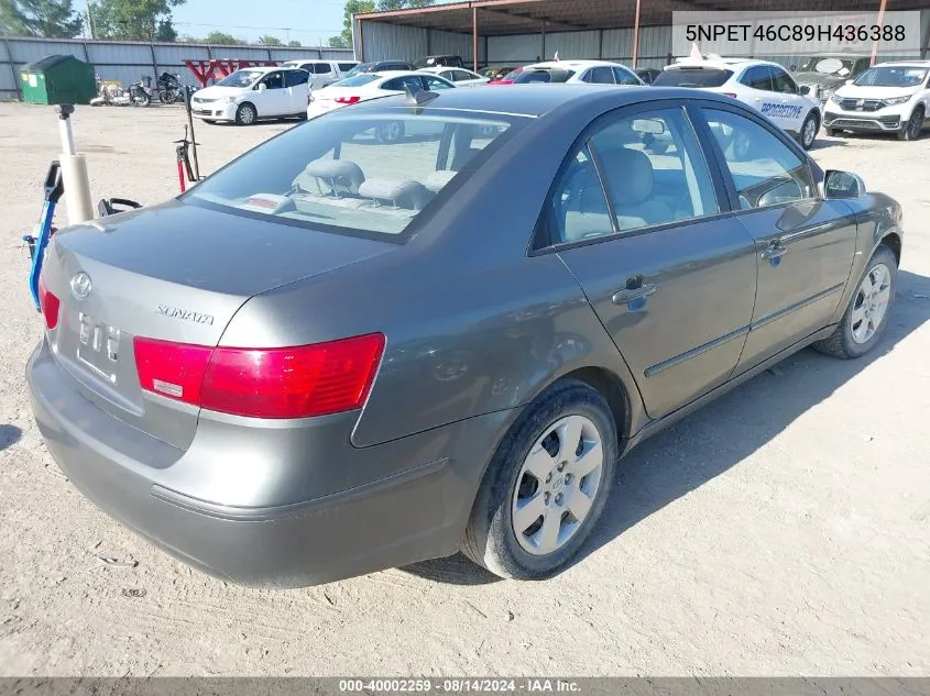 2009 Hyundai Sonata Gls VIN: 5NPET46C89H436388 Lot: 40002259