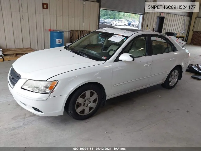 2009 Hyundai Sonata Gls VIN: 5NPET46C89H524177 Lot: 40091155