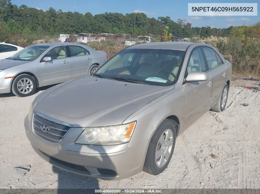 2009 Hyundai Sonata Gls VIN: 5NPET46C09H565922 Lot: 40680080