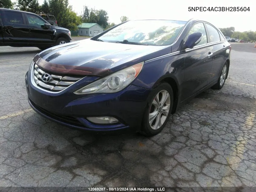 2011 Hyundai Sonata Se/Limited VIN: 5NPEC4AC3BH285604 Lot: 12069287