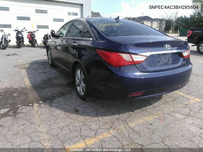 2011 Hyundai Sonata Se/Limited VIN: 5NPEC4AC3BH285604 Lot: 12069287