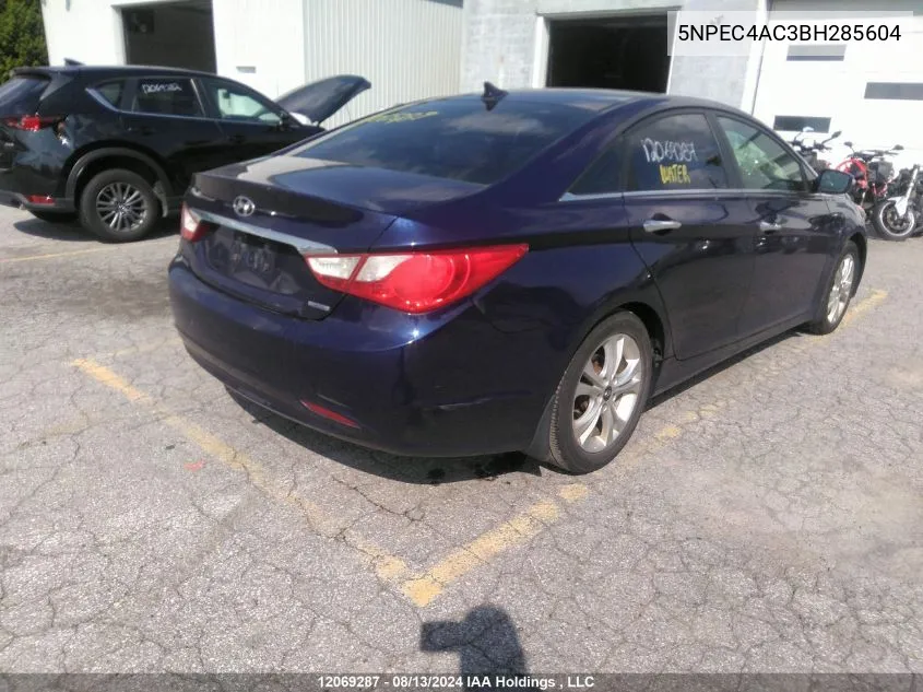 2011 Hyundai Sonata Se/Limited VIN: 5NPEC4AC3BH285604 Lot: 12069287