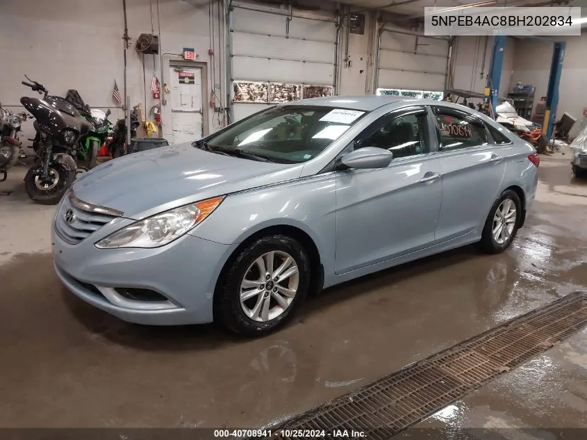 2011 Hyundai Sonata Gls VIN: 5NPEB4AC8BH202834 Lot: 40708941