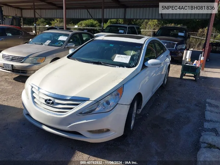 2011 Hyundai Sonata Limited VIN: 5NPEC4AC1BH081836 Lot: 40782532