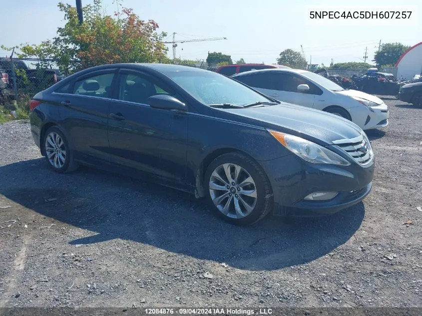 5NPEC4AC5DH607257 2013 Hyundai Sonata Se/Limited