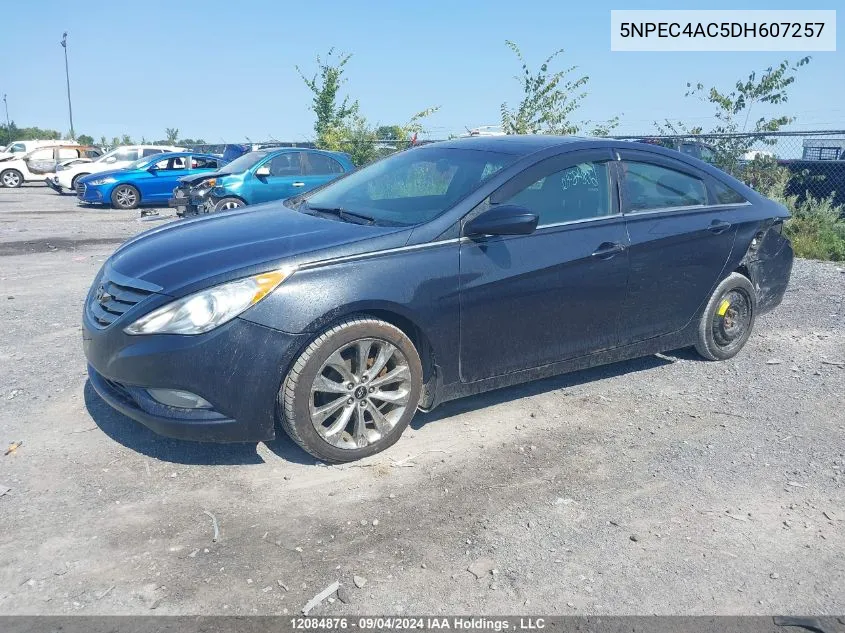 5NPEC4AC5DH607257 2013 Hyundai Sonata Se/Limited