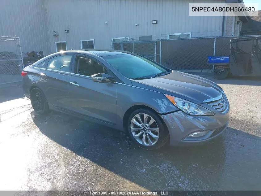 2013 Hyundai Sonata 2.0T Limited VIN: 5NPEC4AB0DH566480 Lot: 12091905