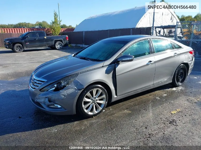 2013 Hyundai Sonata 2.0T Limited VIN: 5NPEC4AB0DH566480 Lot: 12091905