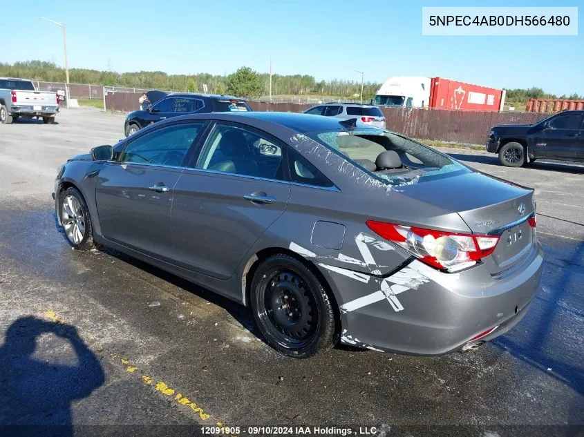 2013 Hyundai Sonata 2.0T Limited VIN: 5NPEC4AB0DH566480 Lot: 12091905