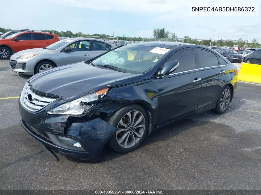 2013 Hyundai Sonata Limited 2.0T VIN: 5NPEC4AB5DH686372 Lot: 39955261