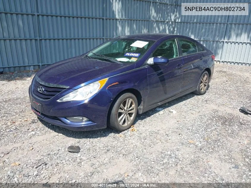 2013 Hyundai Sonata Gls VIN: 5NPEB4AC9DH802734 Lot: 40184629