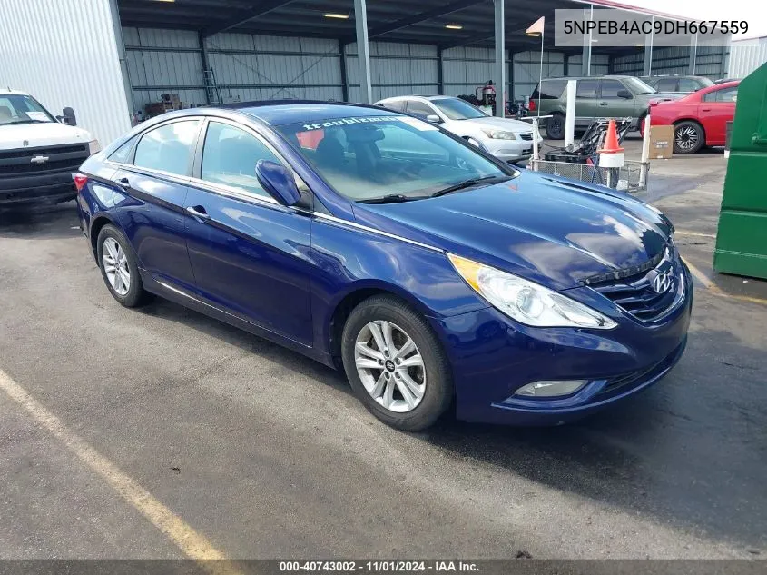 2013 Hyundai Sonata Gls VIN: 5NPEB4AC9DH667559 Lot: 40743002