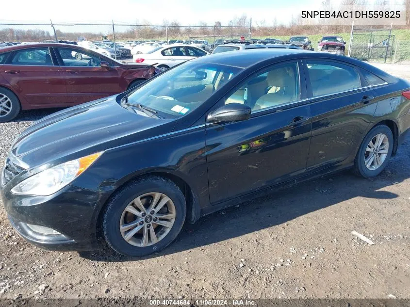 2013 Hyundai Sonata Gls VIN: 5NPEB4AC1DH559825 Lot: 40744684