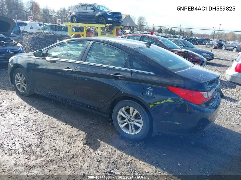 2013 Hyundai Sonata Gls VIN: 5NPEB4AC1DH559825 Lot: 40744684