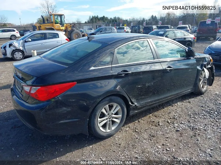 2013 Hyundai Sonata Gls VIN: 5NPEB4AC1DH559825 Lot: 40744684