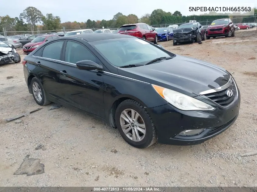 2013 Hyundai Sonata Gls VIN: 5NPEB4AC1DH665563 Lot: 40772813