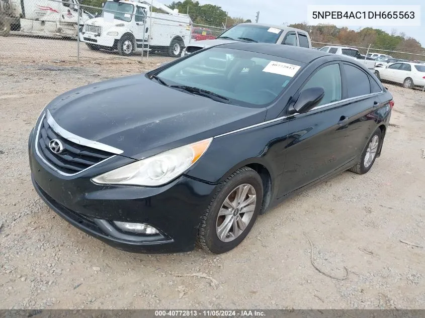 2013 Hyundai Sonata Gls VIN: 5NPEB4AC1DH665563 Lot: 40772813